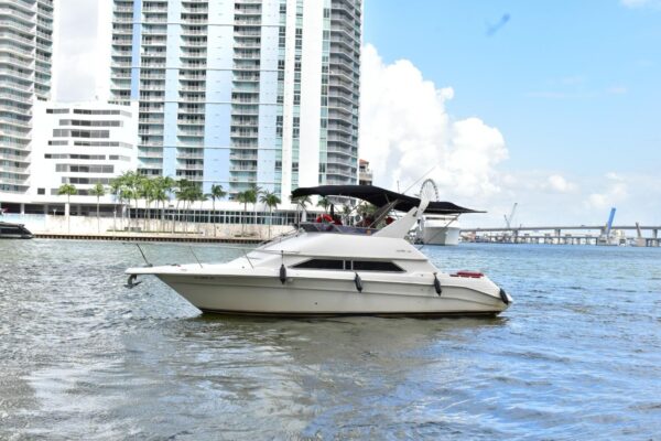 %Miami Yacht Rentals%