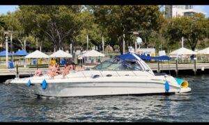 IMG 20250301 WA0014