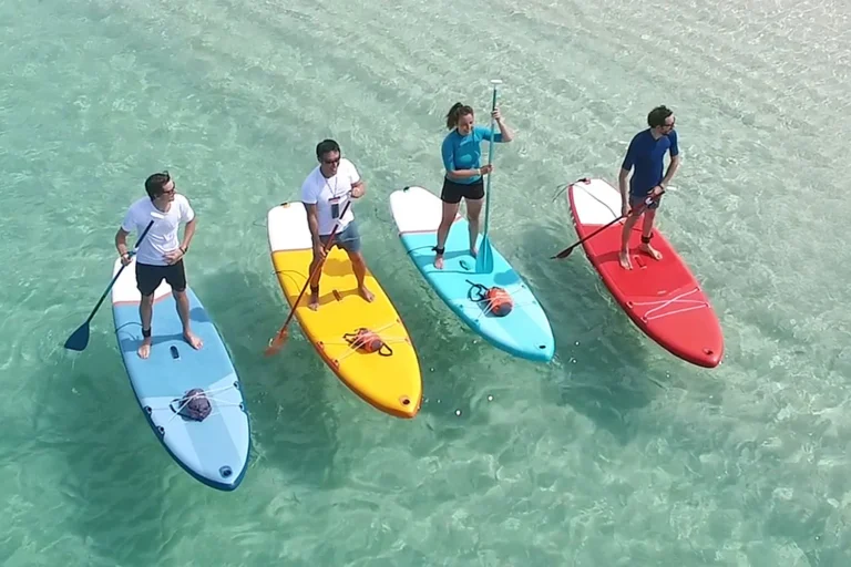%Miami Yacht Rentals%