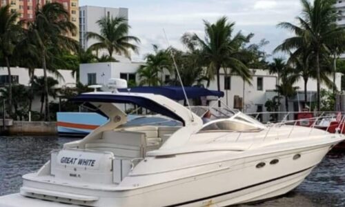 %Miami Yacht Rentals%