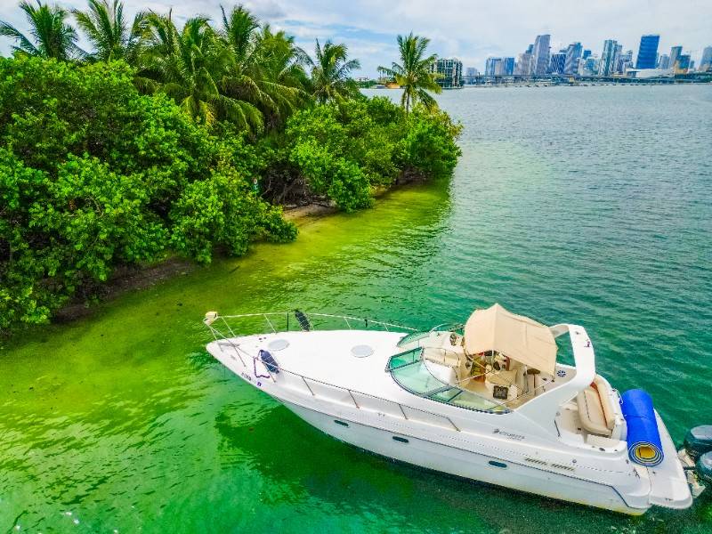 37ft Cruiser| Miami Yacht 1 %Miami Yacht Rentals%