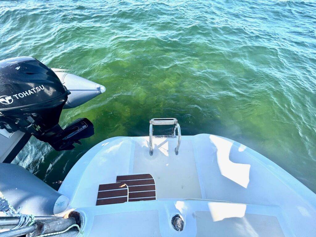 %Miami Yacht Rentals%