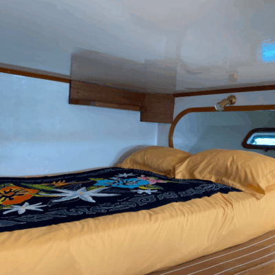 %Miami Yacht Rentals%