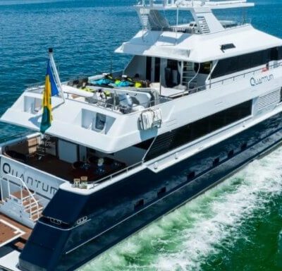 %Miami Yacht Rentals%