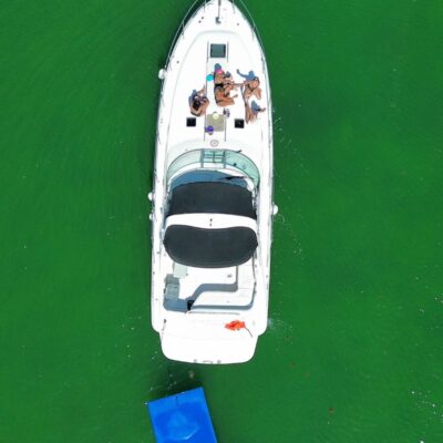 %Miami Yacht Rentals%