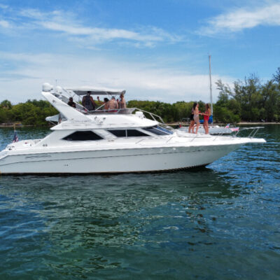 %Miami Yacht Rentals%