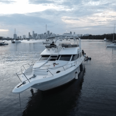 %Miami Yacht Rentals%