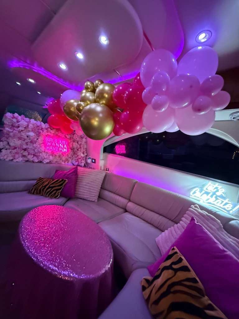 50ft Pink Maxum Miami Yacht Rental | Hello Kitty from $900 4 %Miami Yacht Rentals%