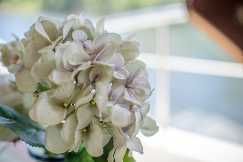 %MAlquiler de yates en Miami%