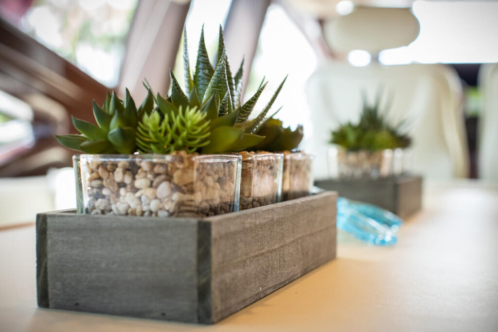 %MAlquiler de yates en Miami%