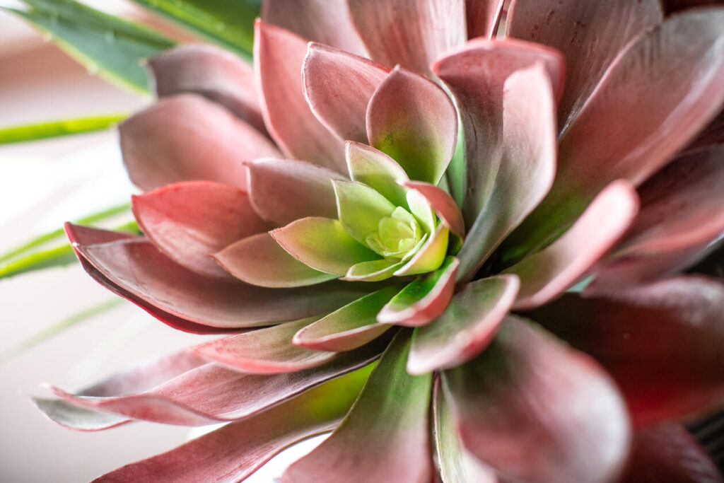 %MAlquiler de yates en Miami%