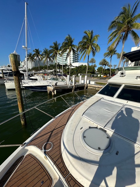 50ft Maxum Miami Mistress 🥂 | Exclusive Charter Adventure from $900 9 %Miami Yacht Rentals%