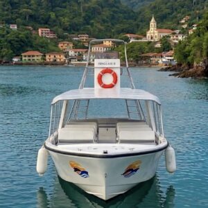 🛥️ Alquiler de yate Isinglass 2 "Todomar 45FT" Panamá