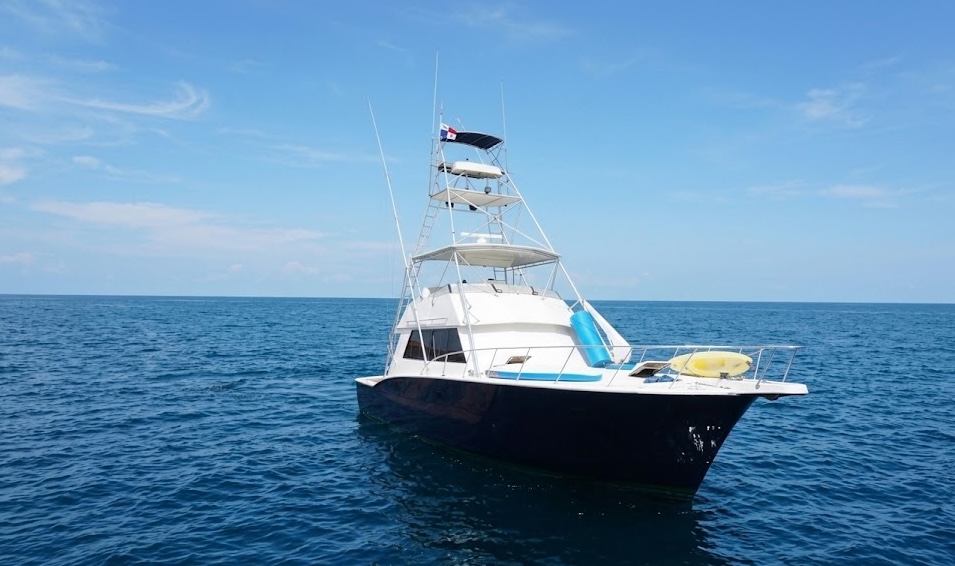 %Miami Yacht Rentals%
