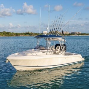 OMAIGOT INTREPID 29 FT