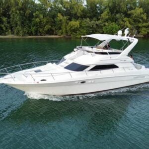 Pal Party 50ft ✨ | Miami Yacht Charter