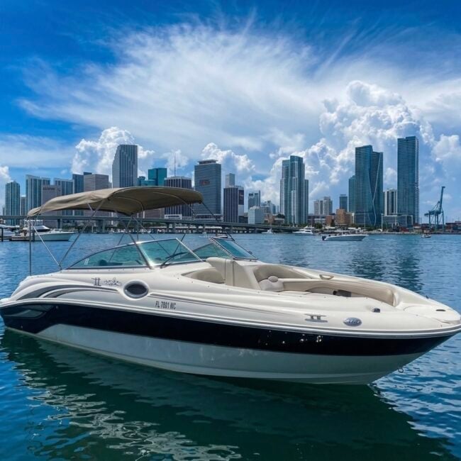 26ft Sea Ray Sundeck