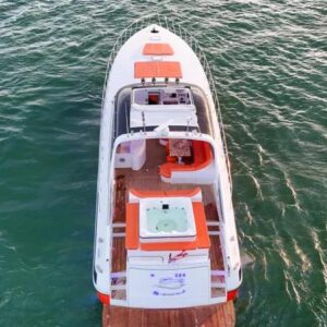 Pantera de Bahía