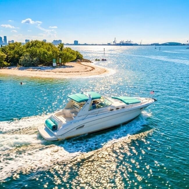 45ft “My Shel”