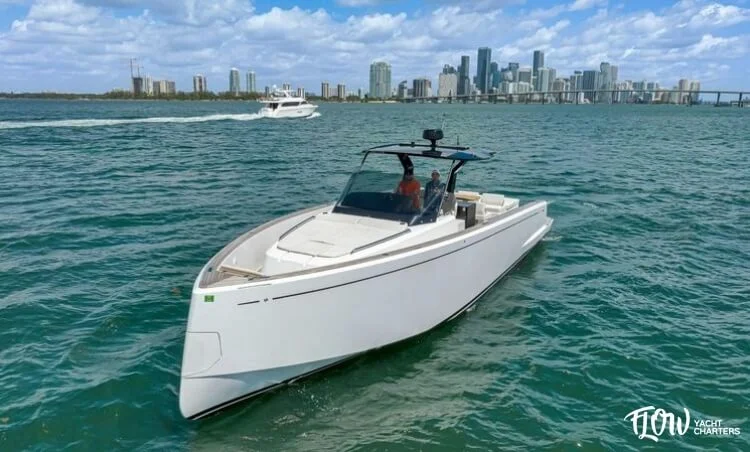 Pardo 43