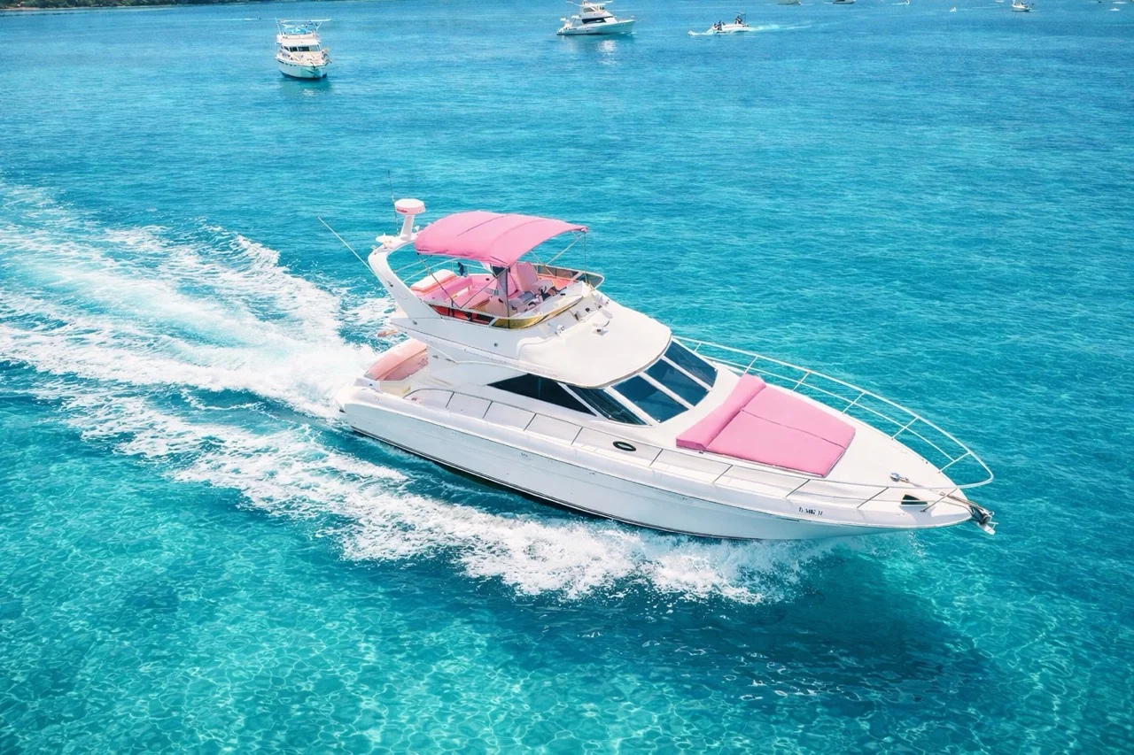 Horizon Pink 1 Horizon Pink
