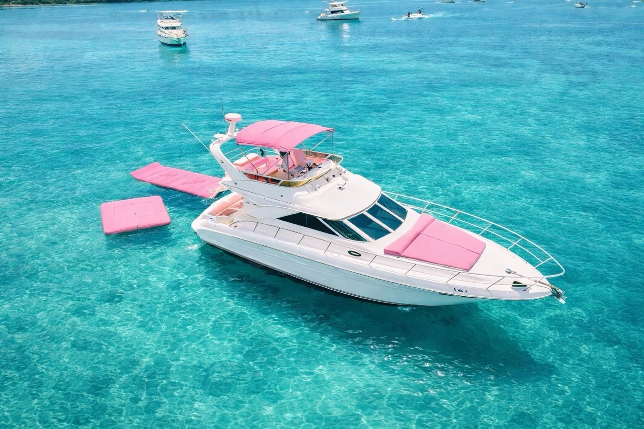 Horizon Pink 2 Horizon Pink - Imagen 2