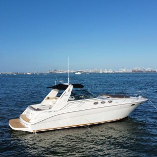 Sea Ray 40' (5)